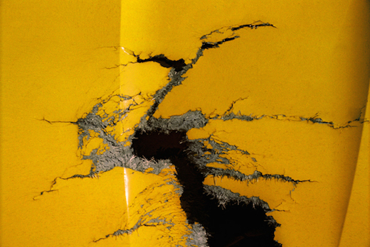 "Bonsai" 11 x 14 matted/framed or 16 x 24 framed $300 