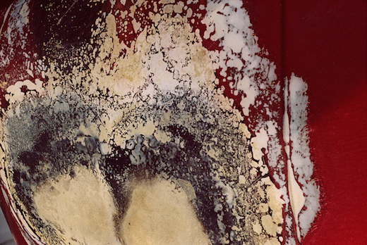 “Outlander” 11 x 14 matted/framed or 16 x 24 framed $300 