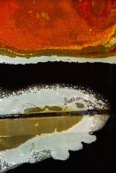 “Masquerade” 11 x 14 matted/framed or 16 x 24 framed $300