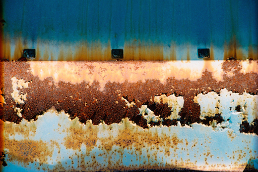 “Sentinels” 11 x 14 matted/framed or 16 x 24 framed $300 