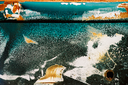 “Sublittoral” 11 x 14 matted/framed or 16 x 24 framed $300 